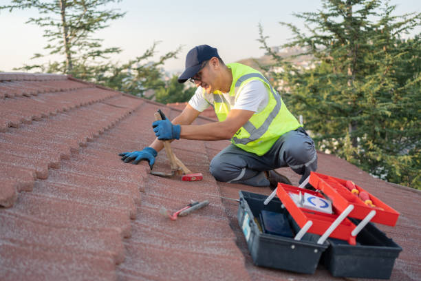 Best Storm Damage Roof Repair  in Duncan, SC